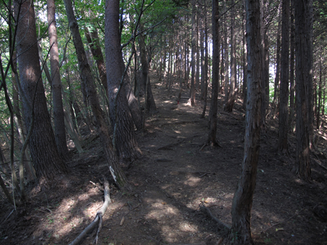 20151014hike (160)